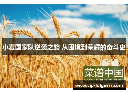 小麦国家队逆袭之路 从困境到荣耀的奋斗史