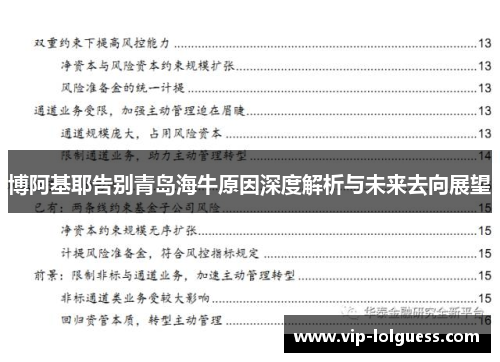 博阿基耶告别青岛海牛原因深度解析与未来去向展望