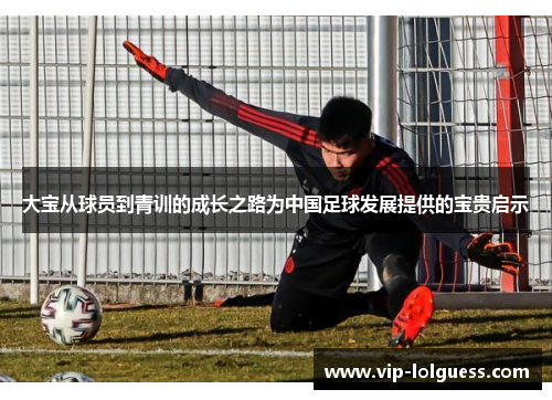 大宝从球员到青训的成长之路为中国足球发展提供的宝贵启示