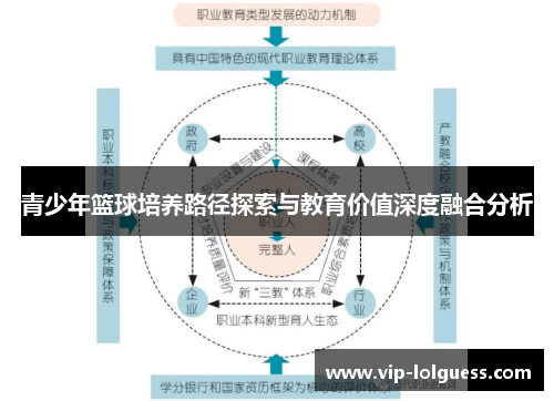 青少年篮球培养路径探索与教育价值深度融合分析